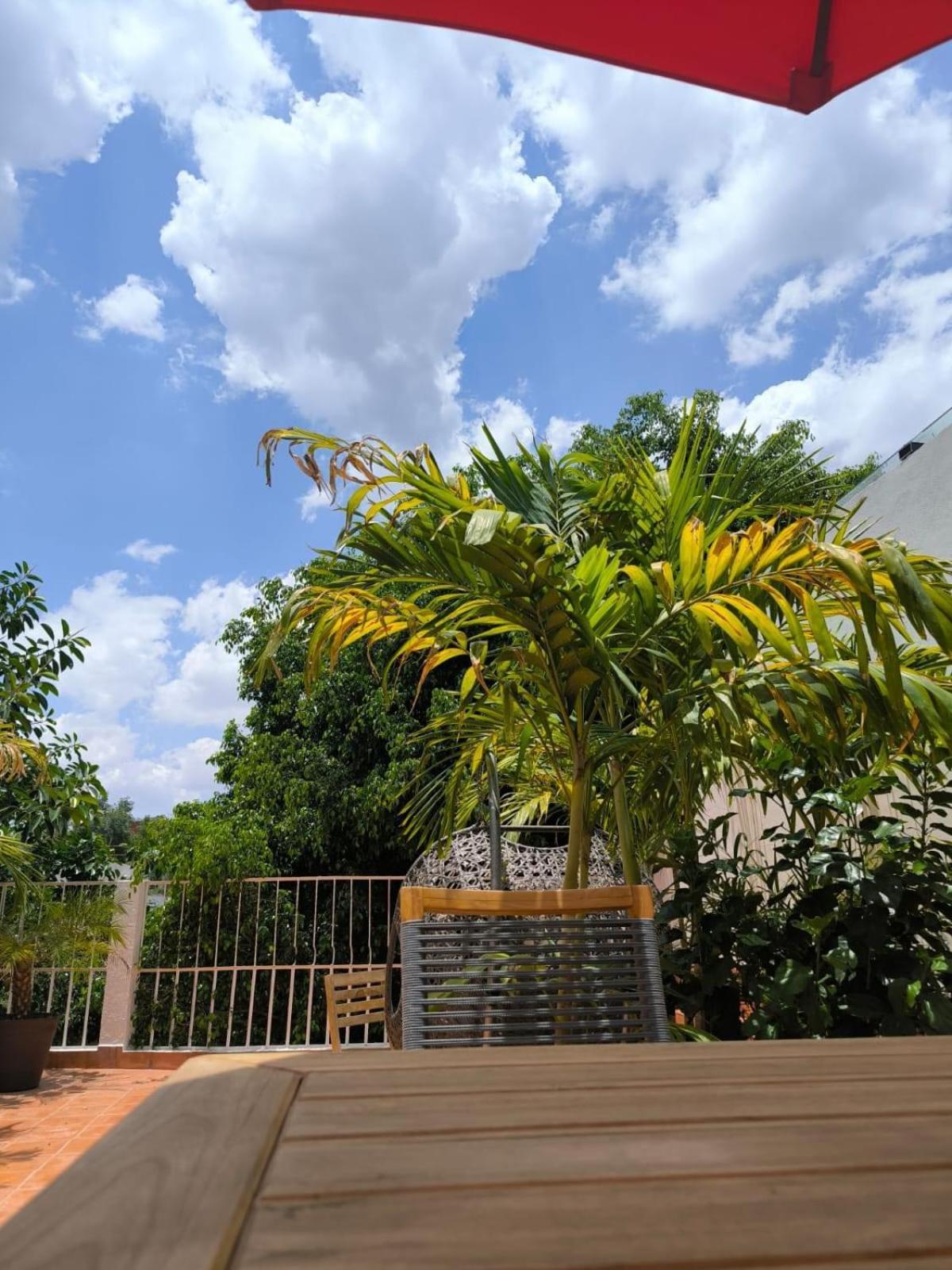 Bed and Breakfast Casa Frida Condesa México DF Exterior foto